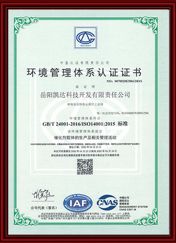 岳陽(yáng)凱達(dá)科技開(kāi)發(fā)有限責(zé)任公司,催化劑及載體生產(chǎn)銷(xiāo)售,催化劑氫還原